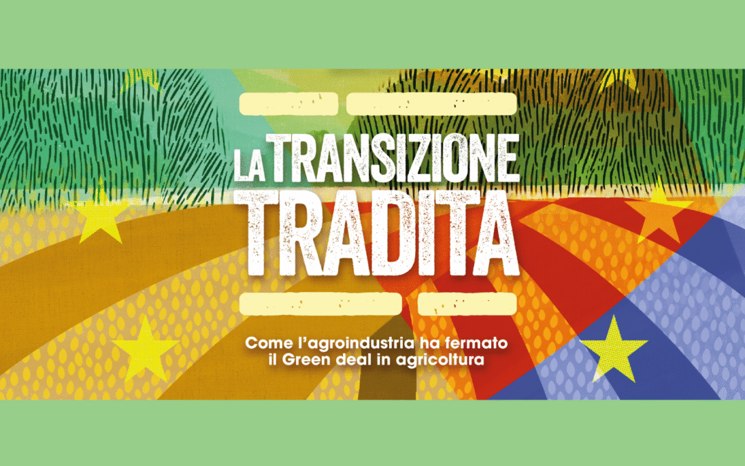 La Transizione Tradita