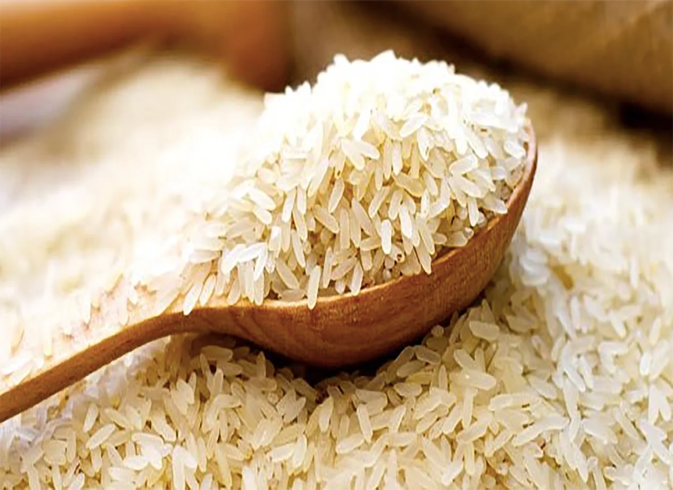 Stati Generali del Riso Italiano – il riso biologico