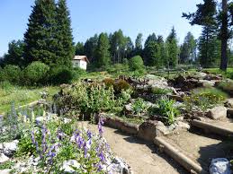 Dal Campo alla Goccia: 𝗘𝗦𝗦𝗘𝗡𝗧𝗜𝗔 𝘁𝗿𝗮𝘀𝗳𝗼𝗿𝗺𝗮 𝗶𝗹 𝗳𝘂𝘁𝘂𝗿𝗼 𝗱𝗲𝗴𝗹𝗶 𝗼𝗹𝗶 𝗲𝘀𝘀𝗲𝗻𝘇𝗶𝗮𝗹𝗶 𝗯𝗶𝗼𝗹𝗼𝗴𝗶𝗰𝗶