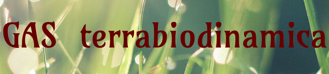 GAS Biodynamic Earth