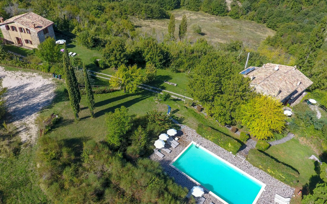 Search for co-managers for agritourism in Assisi