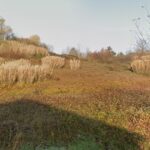 “Amandola” farm for sale