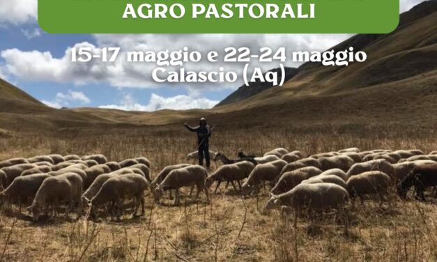 Biodiversità dei sistemi agro pastorali