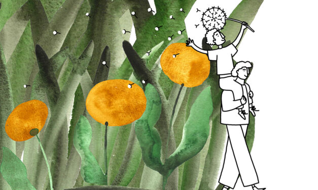 Plants, Cinema and Resistance: Corto Botanico is back! 🌱