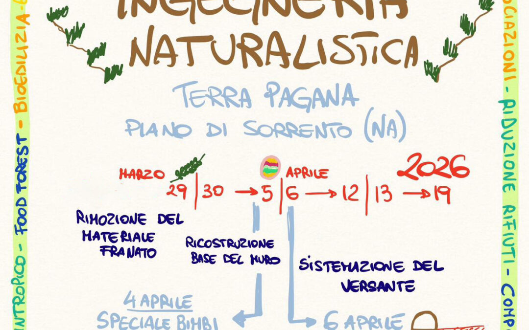 Giornate di Lavoro Condiviso a Terra Pagana: Ingegneria Naturalistica in Azione