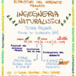 Giornate di Lavoro Condiviso a Terra Pagana: Ingegneria Naturalistica in Azione