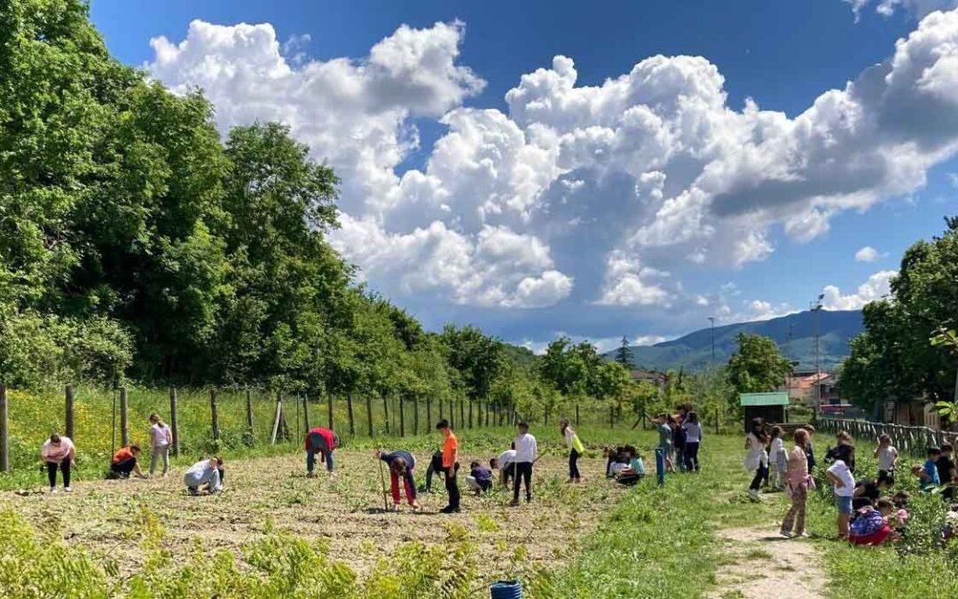 A scuola di biodiversità: Festa dell’Orto di Pergola!