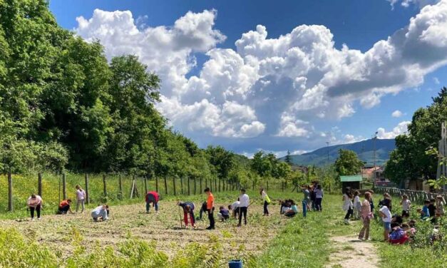 A scuola di biodiversità: Festa dell’Orto di Pergola!