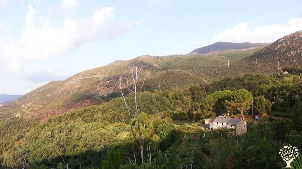 Saxu della Rete Microfarm