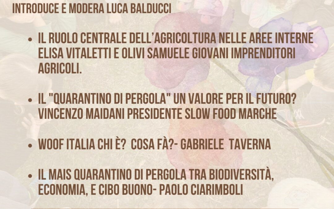 Chiacchierata sull’Orto: un’ora di riflessione comunitaria a Pergola il 15 giugno