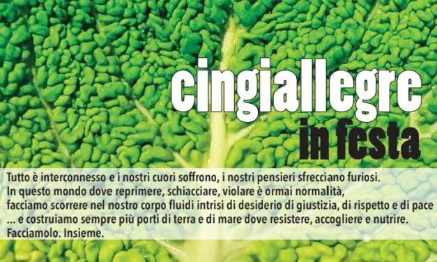 Le Cingiallegre in festa!