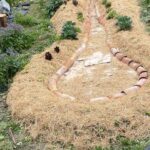 Costruiamo il Palco dei Talenti insieme